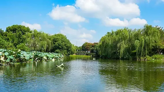 T-MOTOR F60A mini 8S 4IN1 20X20 Racing ESC for FPV
T-MOTOR F60A mini 8S 4IN1 20X20 Racing ESC for FPV