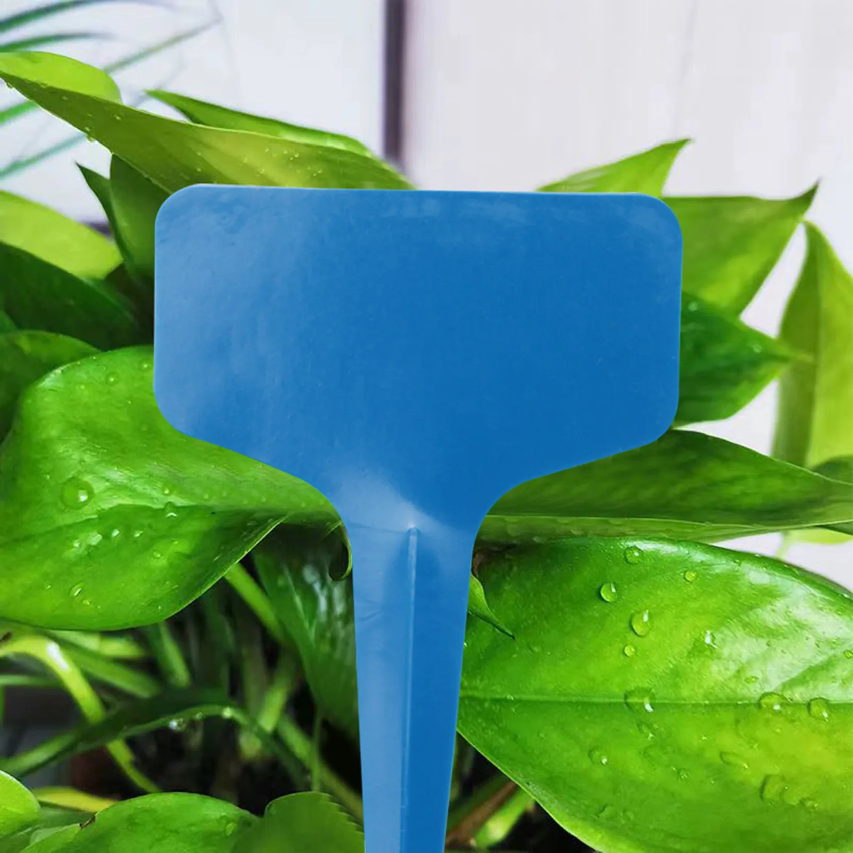 ABFKL 100Pcs Plant Labels Multicolor Waterproof Plastic Plant Tags T-Type Nursery Garden Labels 6 X10cm 5 Colors
ABFKL 100Pcs Plant Labels Multicolor Waterproof Plastic Plant Tags T-Type Nursery Garden Labels 6 X10cm 5 Colors