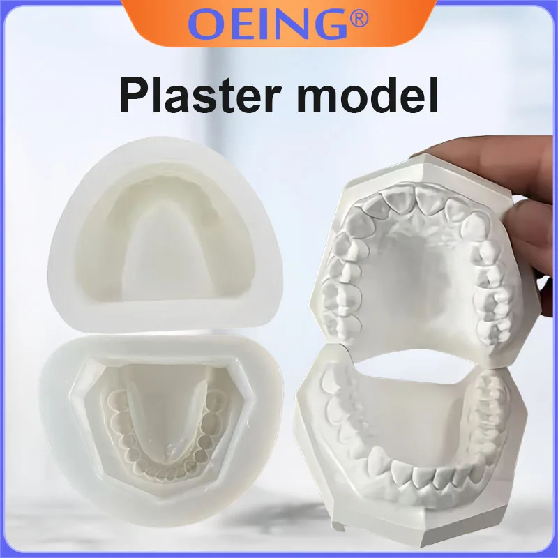 1/2Pcs Handmade Dental Plaster Models; Dental Models with Or Without Teeth; White Silicone Full-mouth Standard Models
1/2Pcs Handmade Dental Plaster Models; Dental Models with Or Without Teeth; White Silicone Full-mouth Standard Models