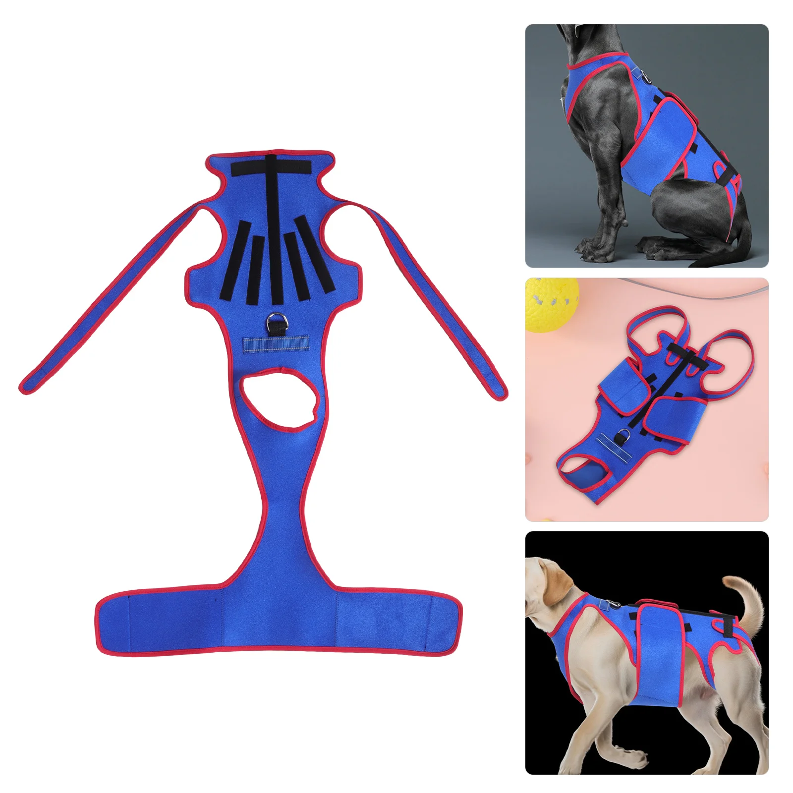 Pet Vest Dog Back Brace Adjustable Chest Strap for Cervical Spondylosis Prevention Calming
Pet Vest Dog Back Brace Adjustable Chest Strap for Cervical Spondylosis Prevention Calming
