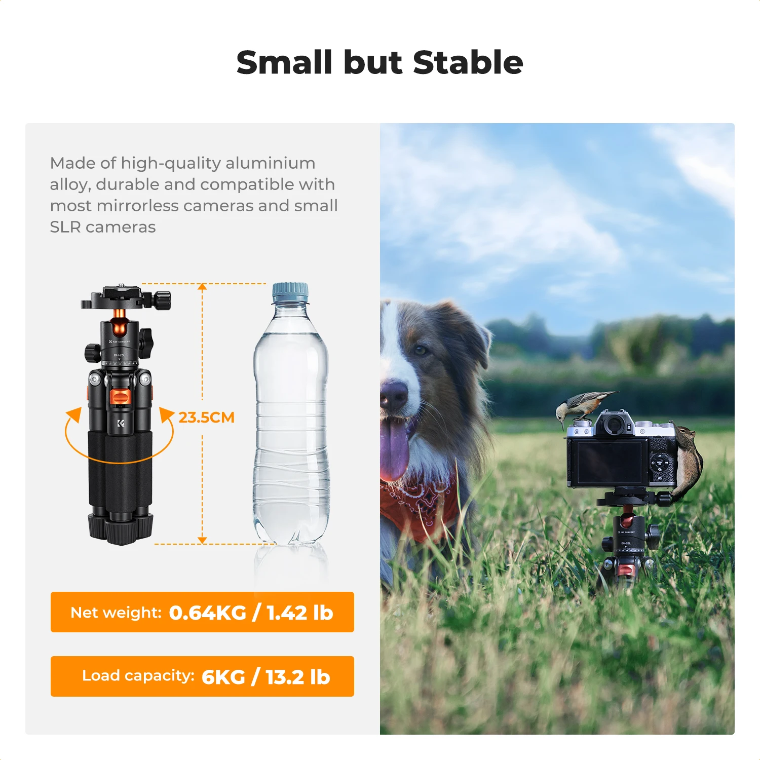 K&F CONCEPT Mini Desk Tripod 21.6'' Compact Small 13.22 lbs/6 KG Load Ball Head Tripod 1/4 inch Quick Shoe Plate Phone Holder
K&F CONCEPT Mini Desk Tripod 21.6'' Compact Small 13.22 lbs/6 KG Load Ball Head Tripod 1/4 inch Quick Shoe Plate Phone Holder