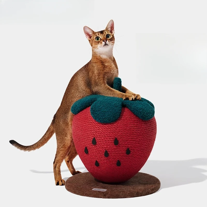 Strawberry cat scratching ball cat scratching board wear-resistant, no chips, hemp rope cat climbing frame integrated vertical
Strawberry cat scratching ball cat scratching board wear-resistant, no chips, hemp rope cat climbing frame integrated vertical