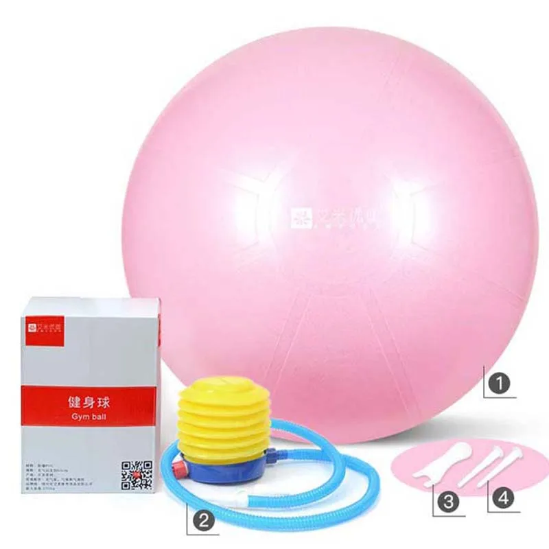 65cm Diameter Anti-burst PVC Fitness Yoga Ball with air Pump
65cm Diameter Anti-burst PVC Fitness Yoga Ball with air Pump