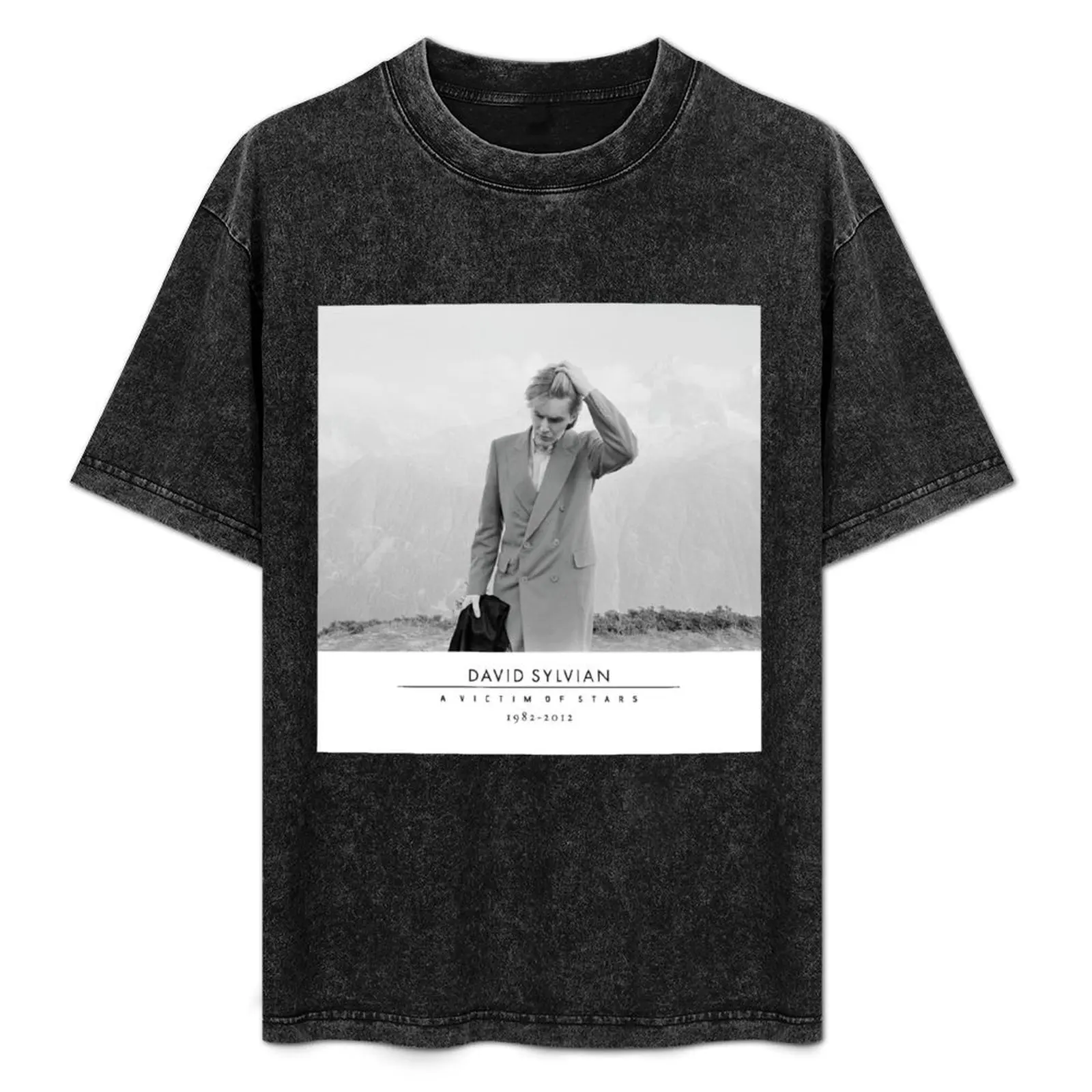 David Sylvian A Victim of Stars T-Shirt Dry Fit Athletic Short Sleeve Shirt
David Sylvian A Victim of Stars T-Shirt Dry Fit Athletic Short Sleeve Shirt