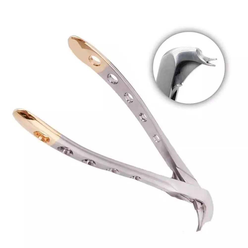 Щипцы для стоматологической экстракции, инструмент для оральной хирургии из нержавеющей стали, изысканный пинцевой клюв для использования в стоматологической клинике K5E9
Щипцы для стоматологической экстракции, инструмент для оральной хирургии из нержавеющей стали, изысканный пинцевой клюв для использования в стоматологической клинике K5E9