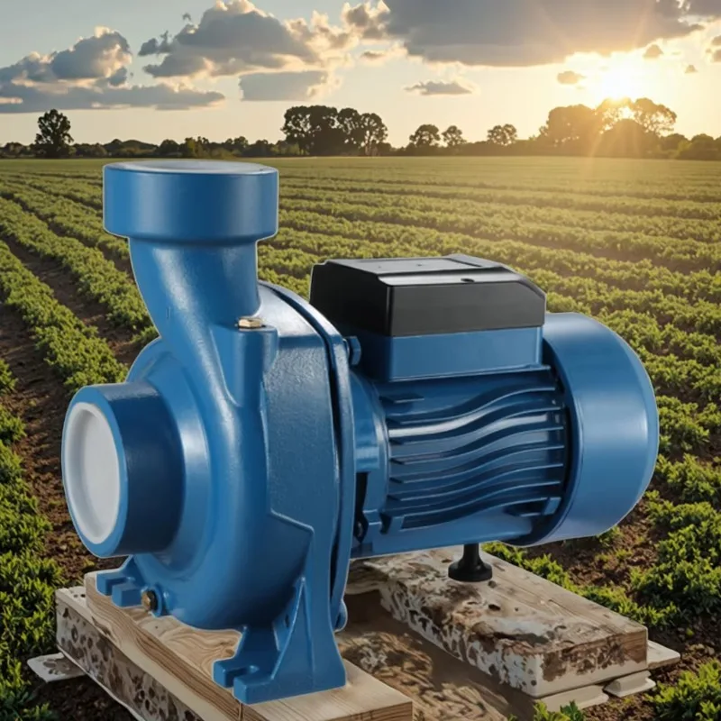48V water pump 30 cubic meters/h large flow 3 inches 750w Dc solar centrifugal pump agricultural water pump
48V water pump 30 cubic meters/h large flow 3 inches 750w Dc solar centrifugal pump agricultural water pump