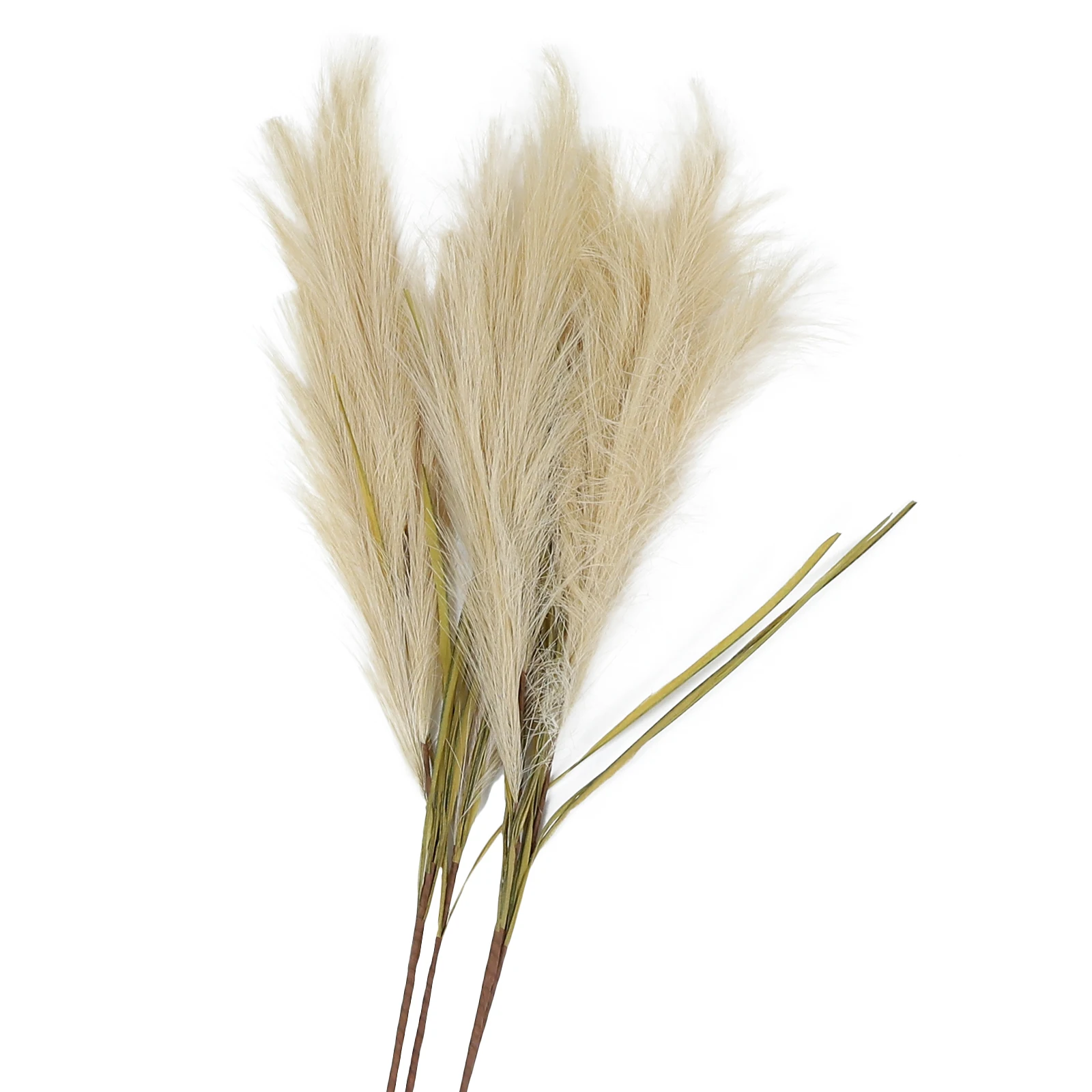 4 Pcs Simulation Phragmites Artificial Plants Fabric Spinning Flower Arrangement Decor Indoor Wall Vase Grass Modern Style
4 Pcs Simulation Phragmites Artificial Plants Fabric Spinning Flower Arrangement Decor Indoor Wall Vase Grass Modern Style