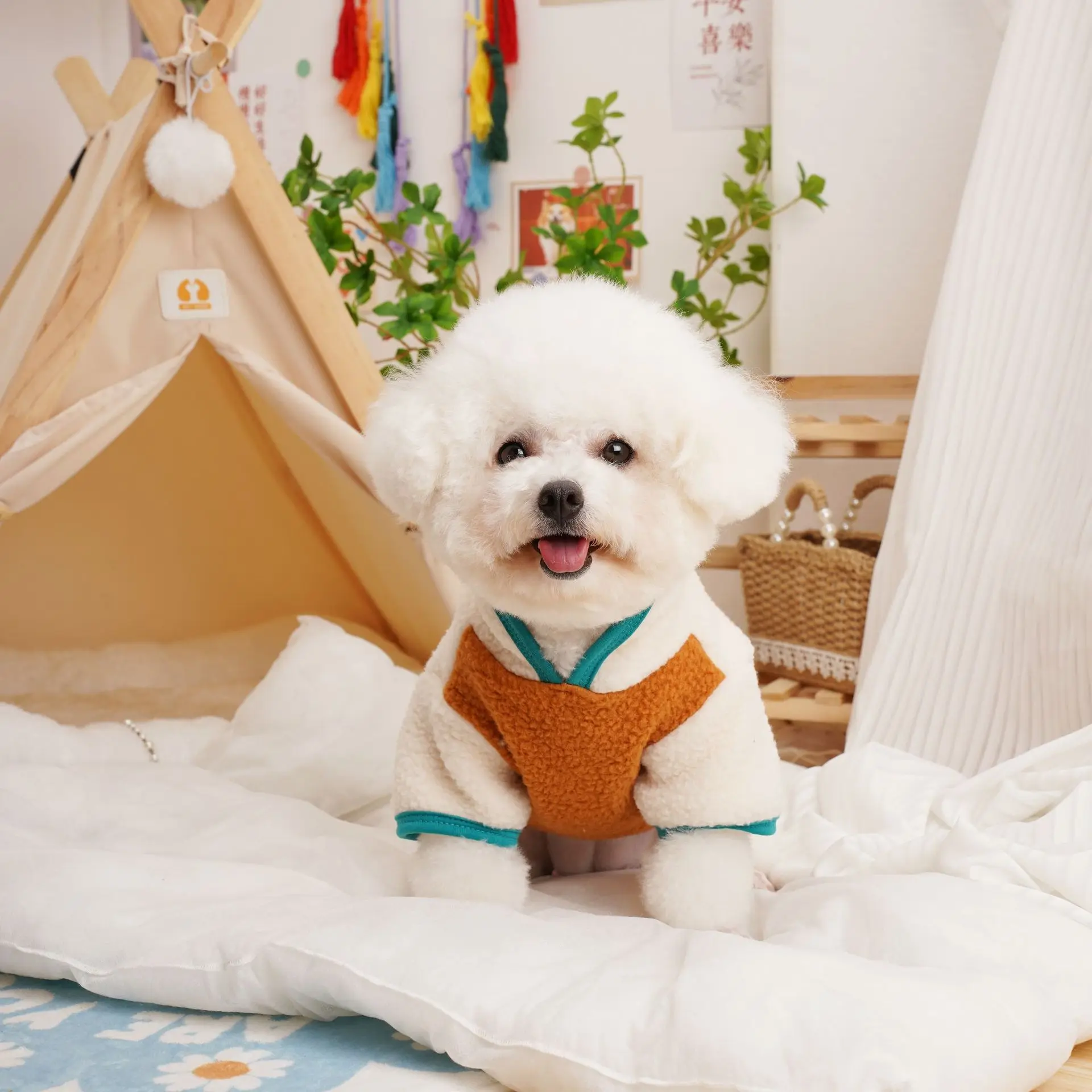 Autumn and Winter Lambswool Thickened Cat Sweater Puppy Clothes Bikini Teddy Small Dog Pet Clothing
Autumn and Winter Lambswool Thickened Cat Sweater Puppy Clothes Bikini Teddy Small Dog Pet Clothing
