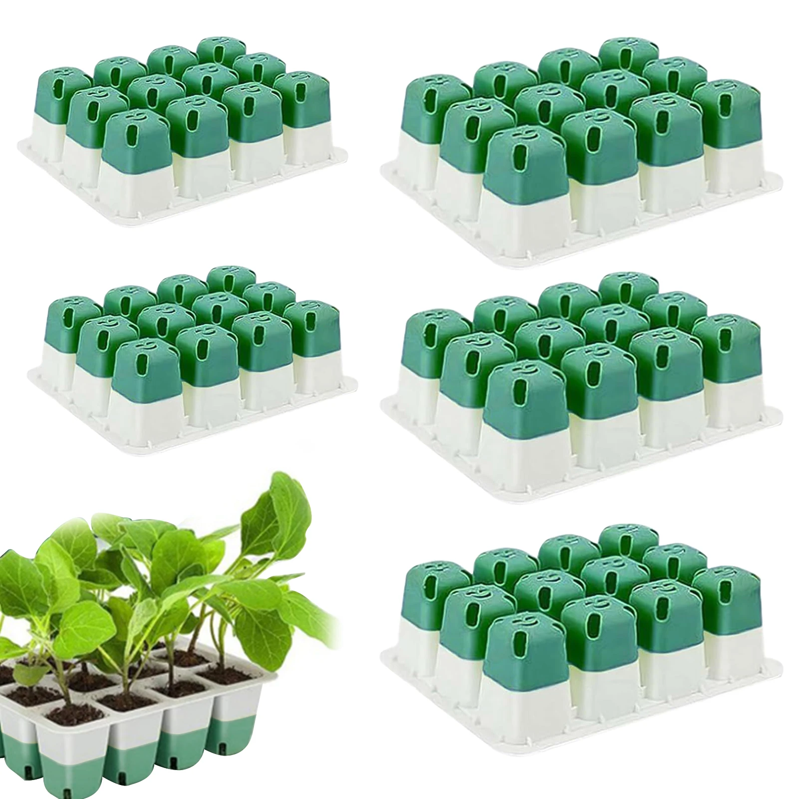 5pcs Seedling Starter Trays Germination Nursery Trays for Seedlings Silicone Propagator Container with Drainage Holes for Bonsai
5pcs Seedling Starter Trays Germination Nursery Trays for Seedlings Silicone Propagator Container with Drainage Holes for Bonsai