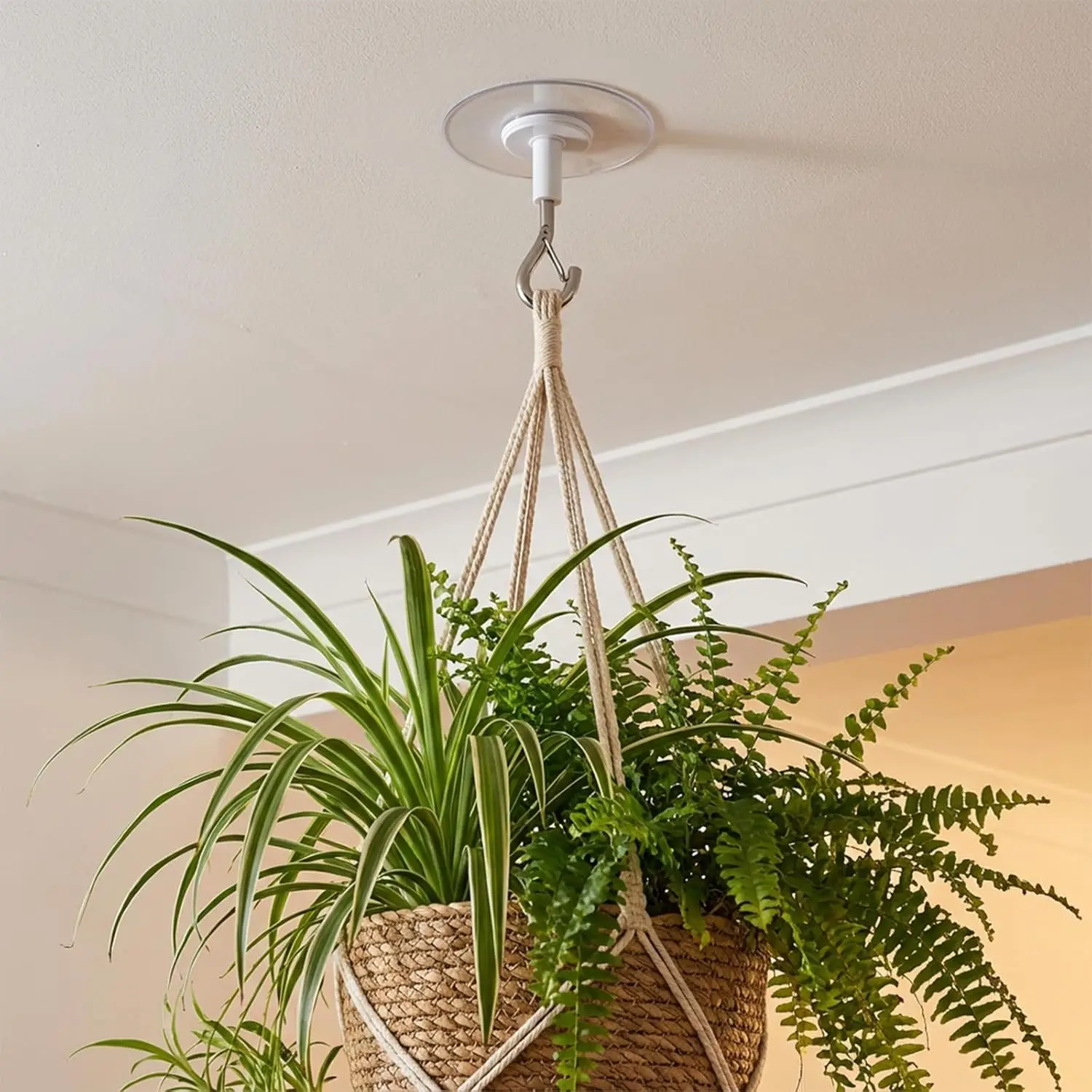 5 Pcs Adhesive Ceiling Hook - Weight-Bearing Stick-On Ceiling Hook, Sticky | Drill Free Hanging Hook with Safety Clasp, Water Resistant for Plants Chimes Storage
5 Pcs Adhesive Ceiling Hook - Weight-Bearing Stick-On Ceiling Hook, Sticky | Drill Free Hanging Hook with Safety Clasp, Water Resistant for Plants Chimes Storage