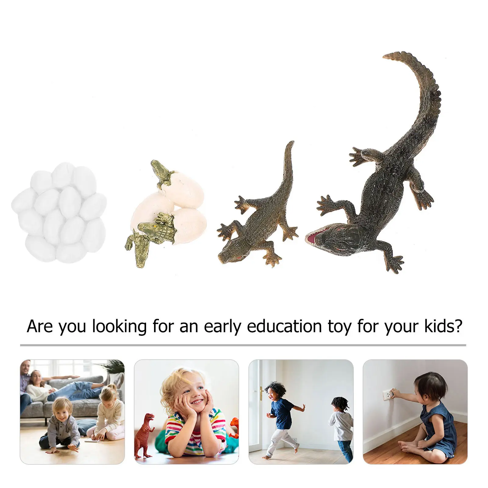 1Set Life Cycle Realistic Growth Stage Figure Early Education Prop Educational Kid Cycle Figure
1Set Life Cycle Realistic Growth Stage Figure Early Education Prop Educational Kid Cycle Figure