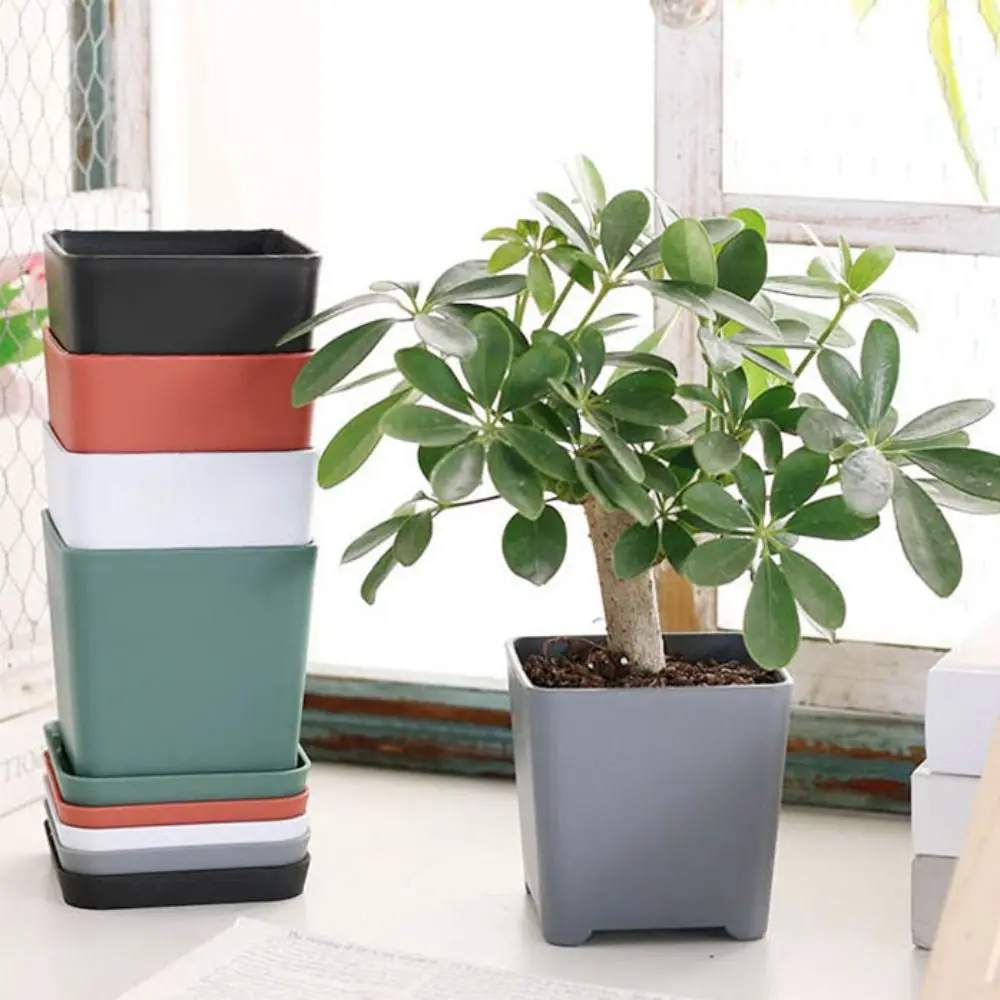 3 set Home Decoration Square Plastic Flower Pot Resin with Tray Succulent Plant Pot Thickened Nordic Nursery Pot Desktop
3 set Home Decoration Square Plastic Flower Pot Resin with Tray Succulent Plant Pot Thickened Nordic Nursery Pot Desktop