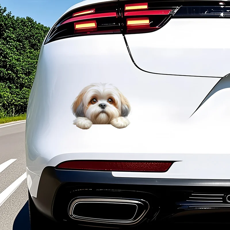 6pcs Car Decals Are Pattern Stickers Featuring Cute Puppies, Suitable for the Rear of Cars, Motorcycle Surfaces, Trucks, Laptops
6pcs Car Decals Are Pattern Stickers Featuring Cute Puppies, Suitable for the Rear of Cars, Motorcycle Surfaces, Trucks, Laptops