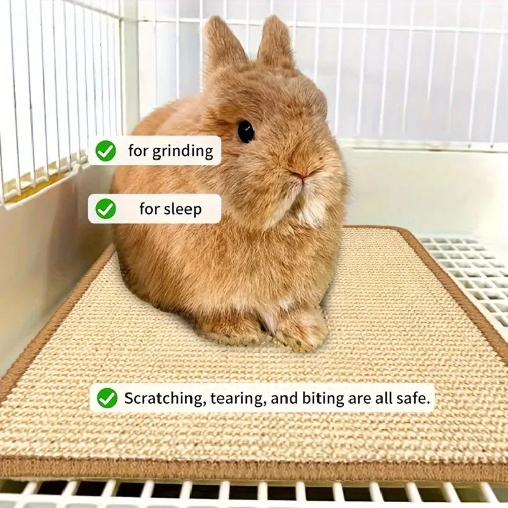 Rabbit Scratcher Mat 12 X 15.7 Inch Natural Sisal Cat Scratch Mats Horizontal Cat Floor Scratching Pad Rug Protect Couch 2025
Rabbit Scratcher Mat 12 X 15.7 Inch Natural Sisal Cat Scratch Mats Horizontal Cat Floor Scratching Pad Rug Protect Couch 2025