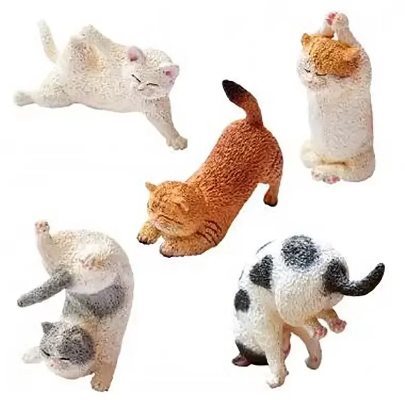 Japanese Real Edition Twisted Egg Scale Model Kitten Yoga Cute Animal Hand Do Desktop Collection
Japanese Real Edition Twisted Egg Scale Model Kitten Yoga Cute Animal Hand Do Desktop Collection