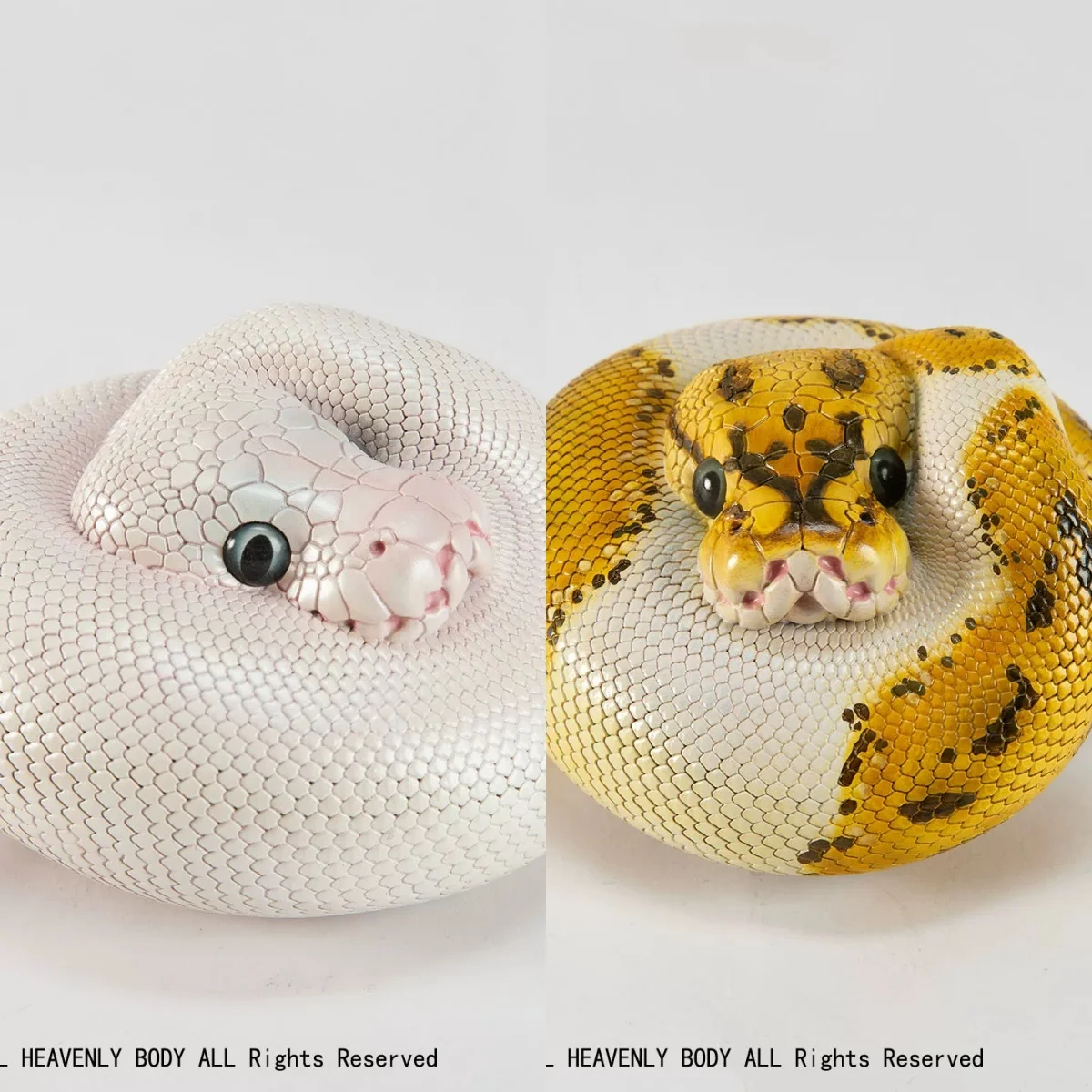 Animal Heavenly Body Series Pastel Ball Python Plus Figure Realistic Snake Collectible Model For Reptile Enthusiasts
Animal Heavenly Body Series Pastel Ball Python Plus Figure Realistic Snake Collectible Model For Reptile Enthusiasts
