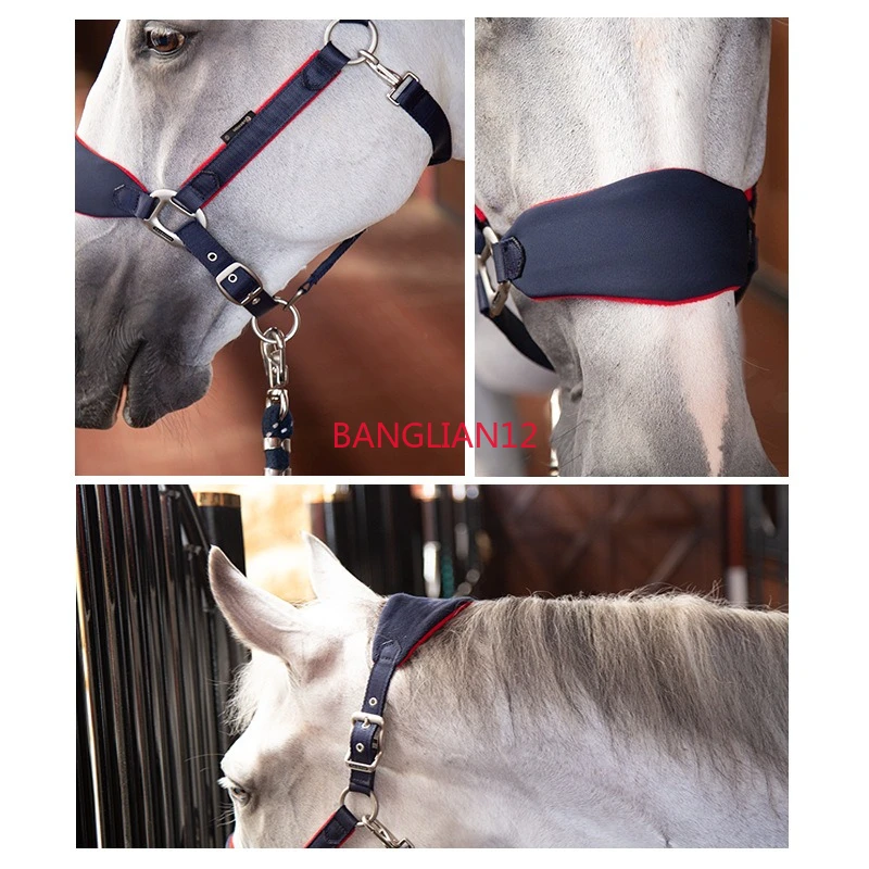 Anti-wear horse bridle cage lead horse outdoor sports
Anti-wear horse bridle cage lead horse outdoor sports