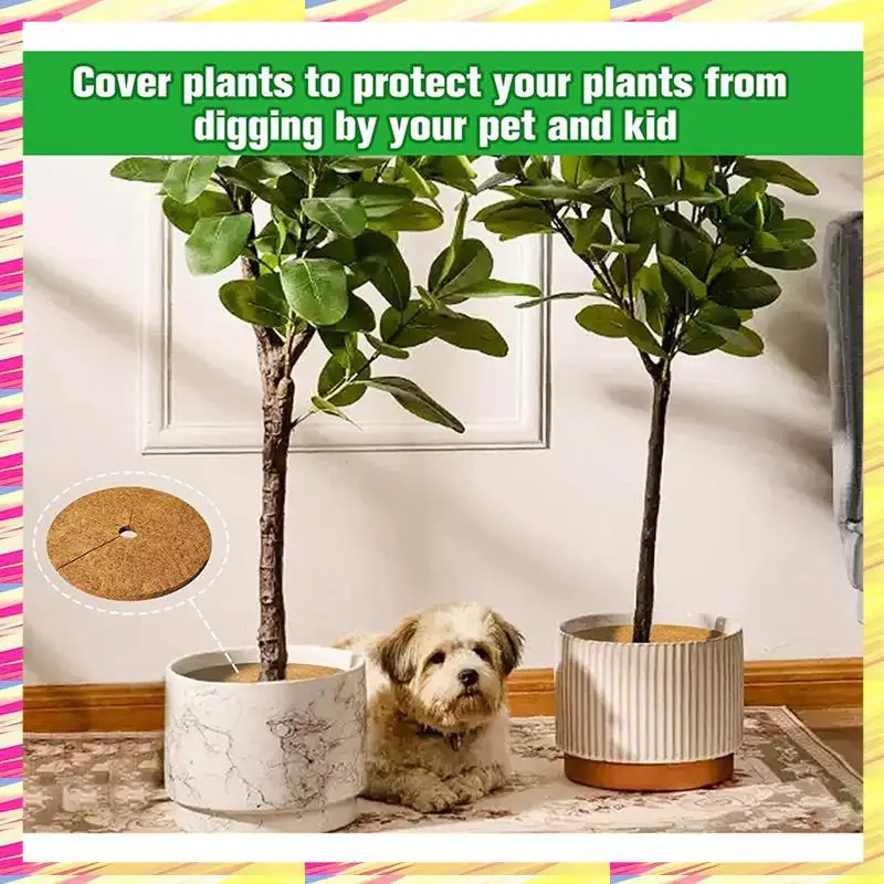 ABJJ 11.8 Inch Natural Coir Tree Protection Mats Indoor And Outdoor Lawn Tree Tray Plant Cover
ABJJ 11.8 Inch Natural Coir Tree Protection Mats Indoor And Outdoor Lawn Tree Tray Plant Cover