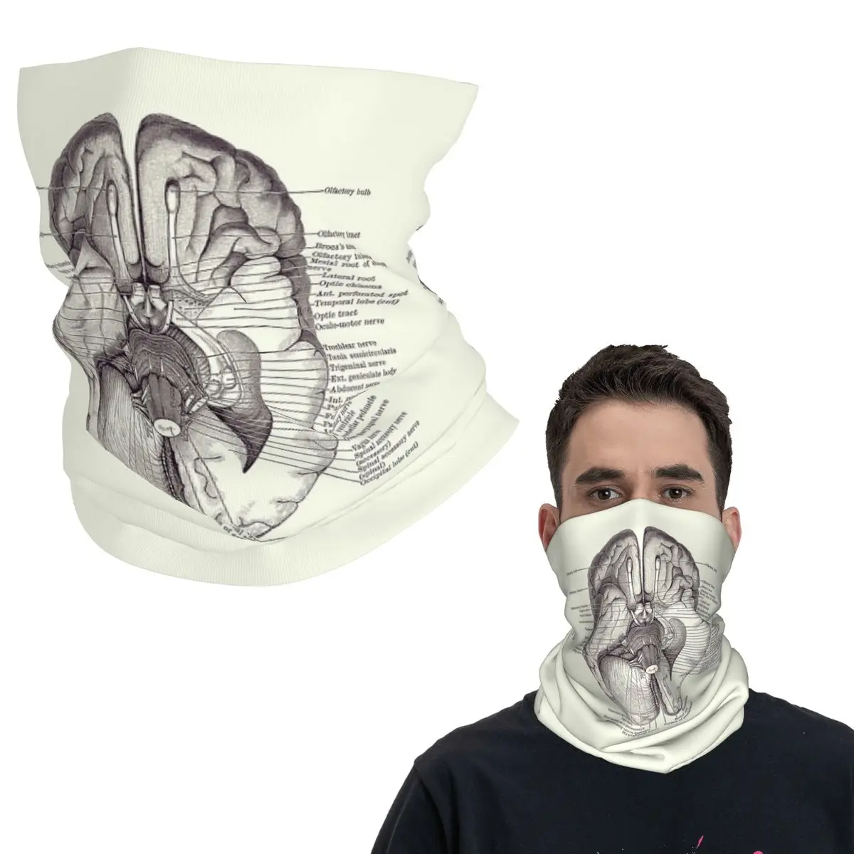 Схема нервной системы мозга, винтажная анатомия, бандана, гетры на шею, шарф для лица с принтом, маска для лица, спорт на открытом воздухе для мужчин, женщин, взрослых
Схема нервной системы мозга, винтажная анатомия, бандана, гетры на шею, шарф для лица с принтом, маска для лица, спорт на открытом воздухе для мужчин, женщин, взрослых