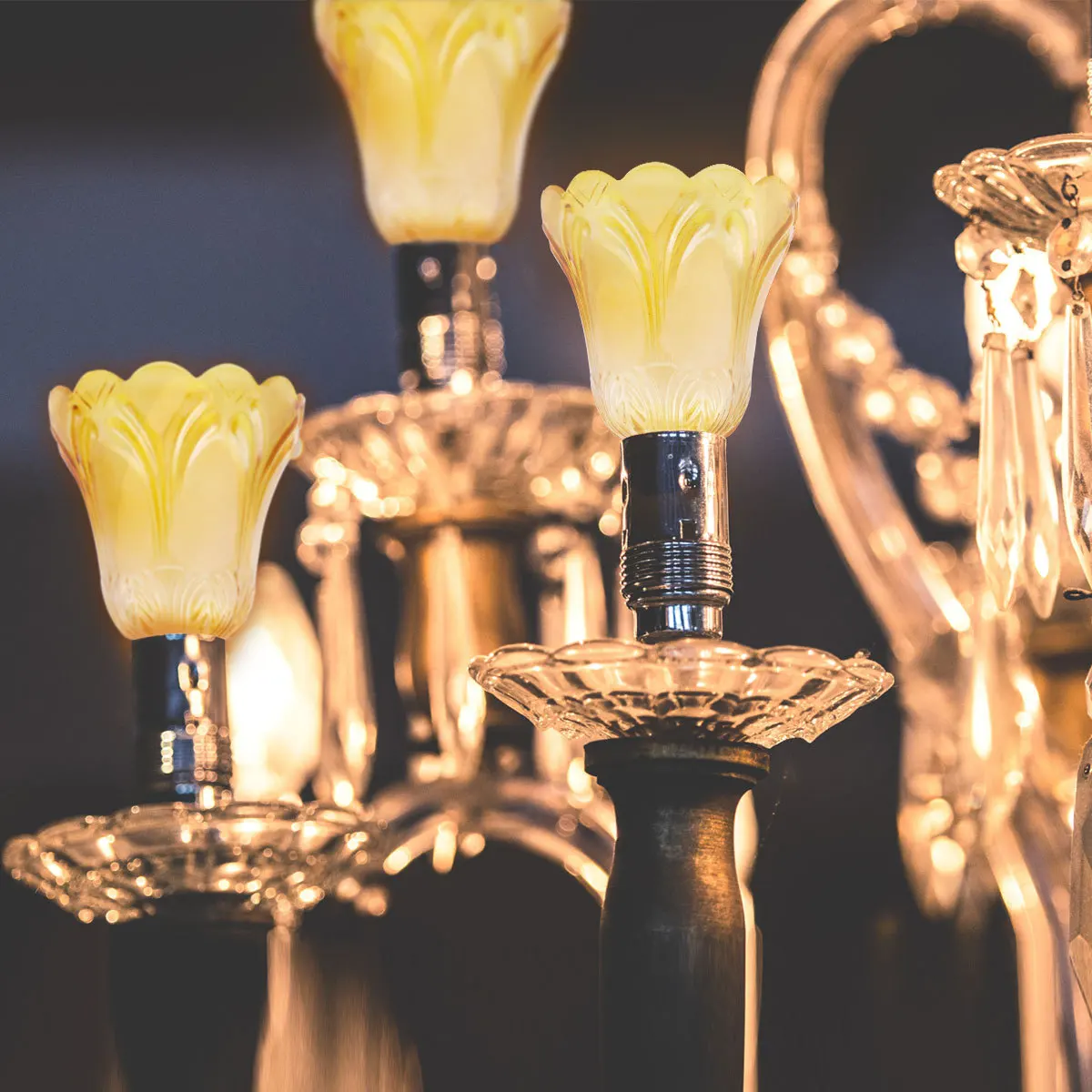 1 Unit Glass Lamp Shade Golden Clear Cover for Living Room Bedroom Table Lamp Ceiling Light Warm Soft Illumination No Dazzle
1 Unit Glass Lamp Shade Golden Clear Cover for Living Room Bedroom Table Lamp Ceiling Light Warm Soft Illumination No Dazzle