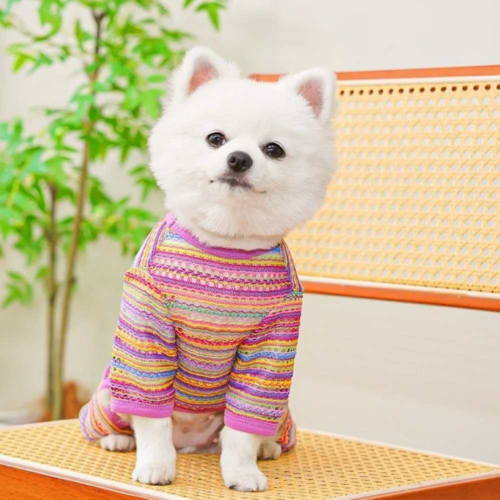 Colorful Stripes Dog Sun Protection Clothes Thin Soft Fabric Dog Cooling Jumpsuit Breathable Mesh With D-Ring Pet Clothes Beach
Colorful Stripes Dog Sun Protection Clothes Thin Soft Fabric Dog Cooling Jumpsuit Breathable Mesh With D-Ring Pet Clothes Beach
