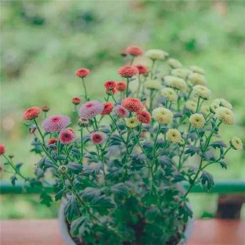 MJX Hyper Go 10208 V2 Металлическая передняя и задняя ударная башня 1/10 Обновление радиоуправляемого автомобиля Запчасти Аксессуары
MJX Hyper Go 10208 V2 Металлическая передняя и задняя ударная башня 1/10 Обновление радиоуправляемого автомобиля Запчасти Аксессуары