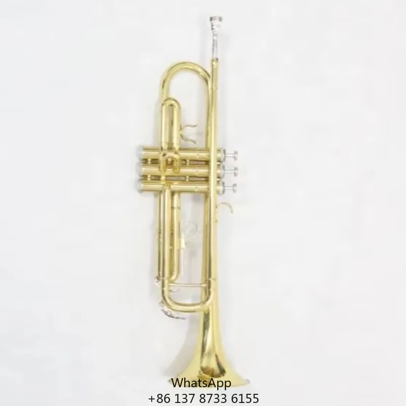 Factory Wholesale Trumpet B-Flat Key Brass Instrument Gold Lacquered Trumpet
Factory Wholesale Trumpet B-Flat Key Brass Instrument Gold Lacquered Trumpet