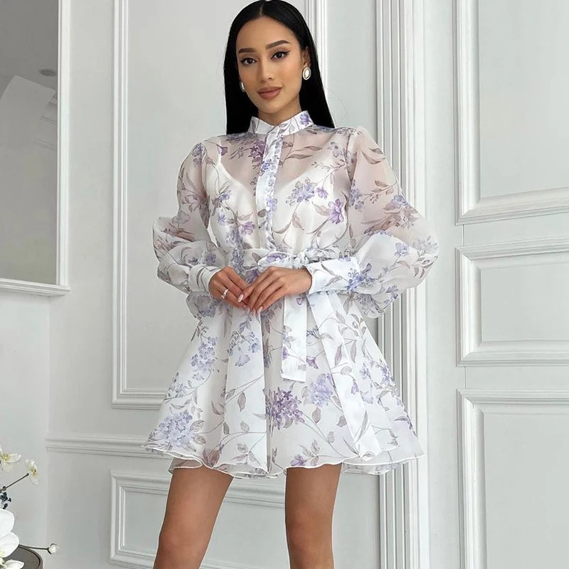 Typhaland Elegant Mesh Splice Printed Dress Women's Long Sleeve Lace Up A-line Short Dress Fashion High Waist Female Commute
Typhaland Elegant Mesh Splice Printed Dress Women's Long Sleeve Lace Up A-line Short Dress Fashion High Waist Female Commute
