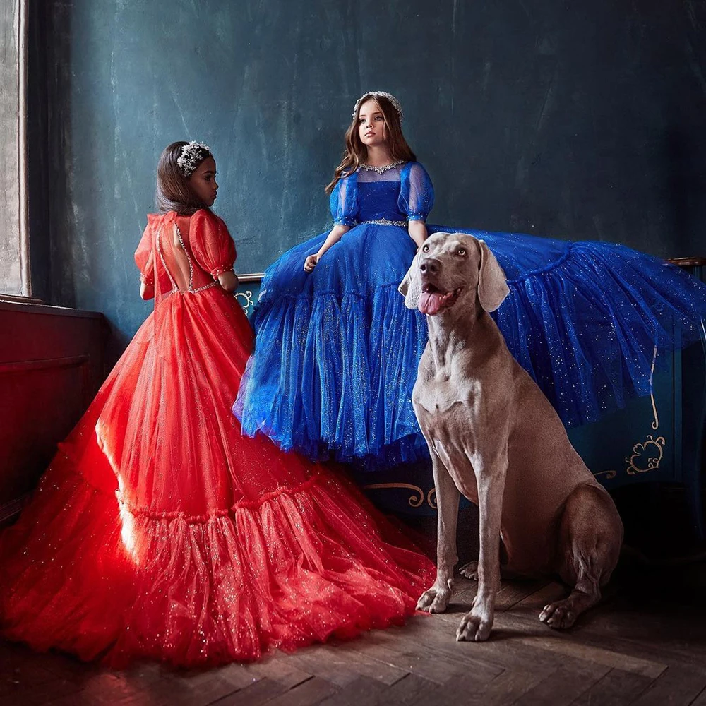 Glitter Tulle Floor Length Flower Girl Dresses Jewel Half Sleeves Red Prom Gown with Rhinestones Royal Blue Kids Party Gown
Glitter Tulle Floor Length Flower Girl Dresses Jewel Half Sleeves Red Prom Gown with Rhinestones Royal Blue Kids Party Gown