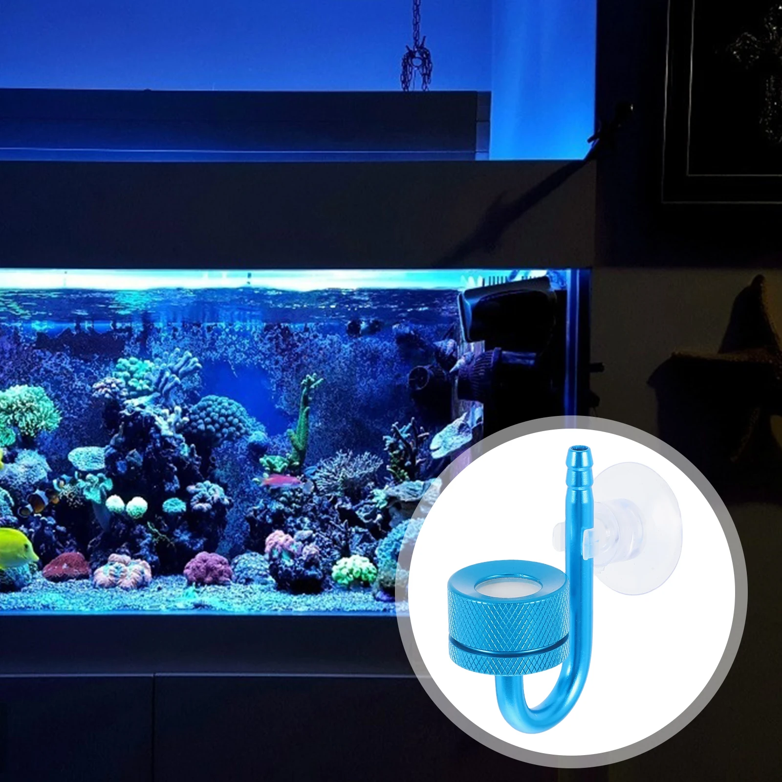 Sturdy Aluminum Alloy Co2 For Aquarium Water Plants Fine Bubble Diffusion Reusable Aquarium Co2 System Easy Install Blue Fish
Sturdy Aluminum Alloy Co2 For Aquarium Water Plants Fine Bubble Diffusion Reusable Aquarium Co2 System Easy Install Blue Fish