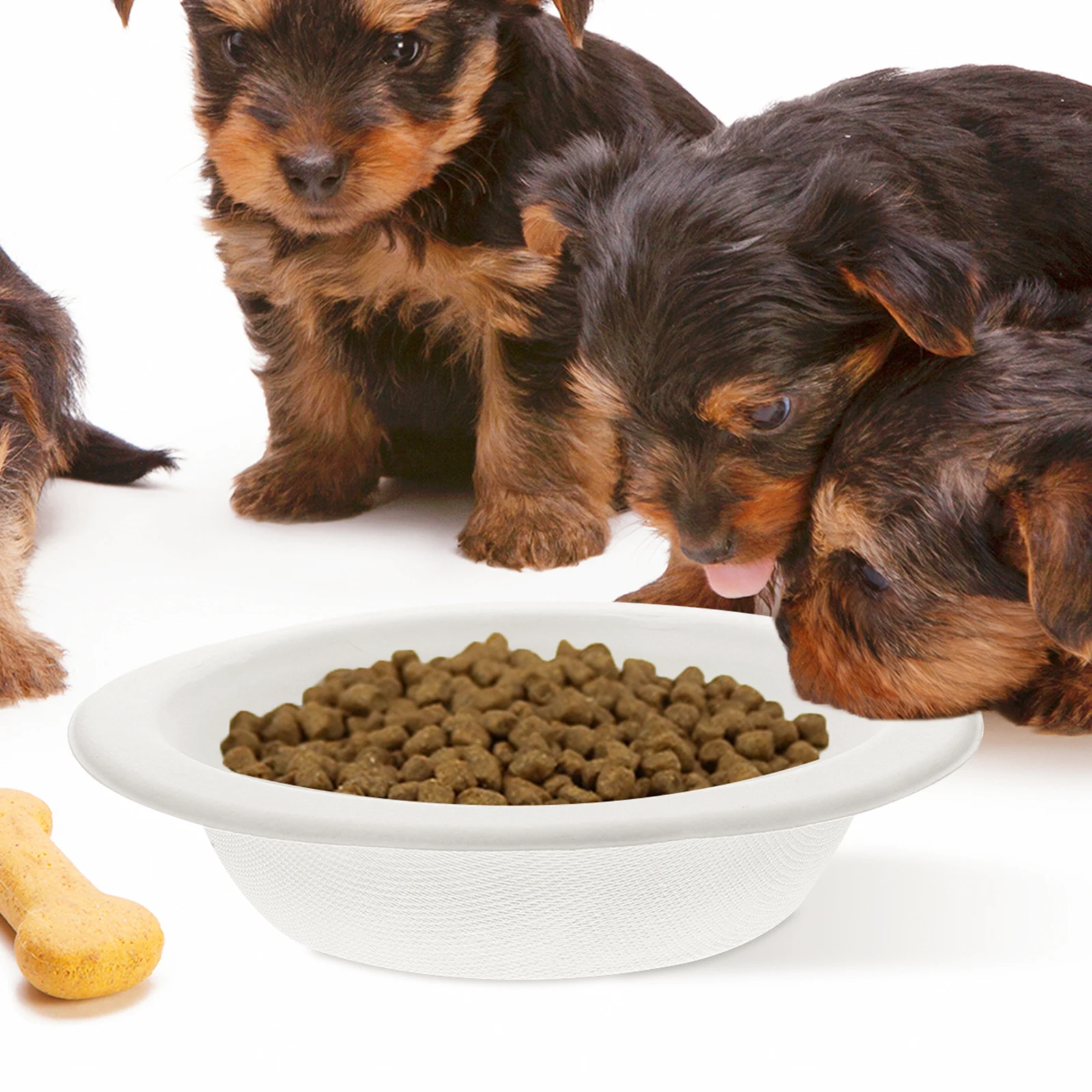 20pcs Cat Paper Food Bowls Disposable Pet Bowls for Cats Kitten Premium Material Safety Practical Pet Supplies
20pcs Cat Paper Food Bowls Disposable Pet Bowls for Cats Kitten Premium Material Safety Practical Pet Supplies