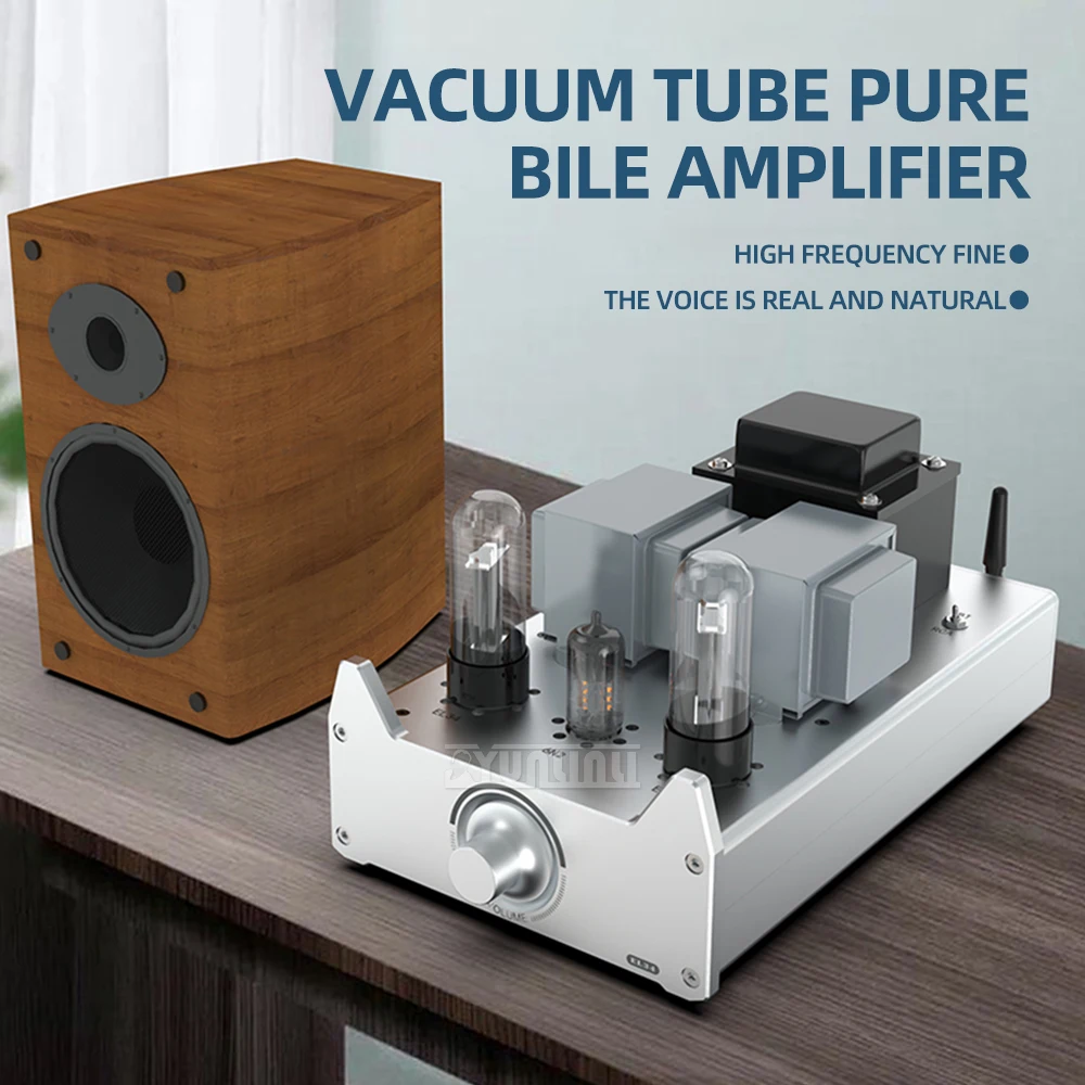 Pure Class a Electronic Tube HiFi Bluetooth Amplifier Single Ended Gallbladder 6N3C/6L6/EL34 for Audio Enthusiasts
Pure Class a Electronic Tube HiFi Bluetooth Amplifier Single Ended Gallbladder 6N3C/6L6/EL34 for Audio Enthusiasts