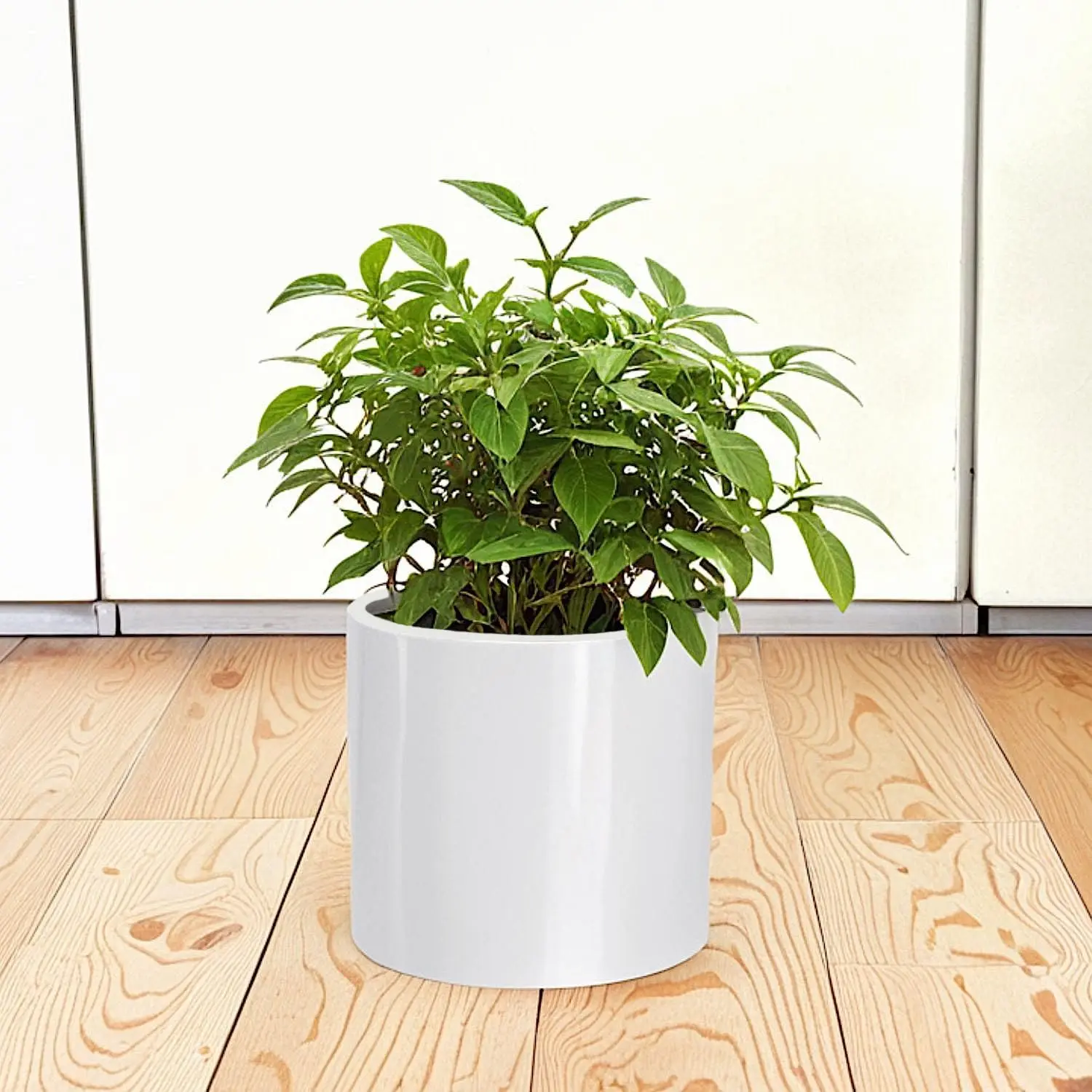 8 Inch Plant Pot with Drainage Plug — Premium Lightweight Fiberstone Glossy White Planter; Indoor Outdoor Planter; 8 Inch Pots
8 Inch Plant Pot with Drainage Plug — Premium Lightweight Fiberstone Glossy White Planter; Indoor Outdoor Planter; 8 Inch Pots