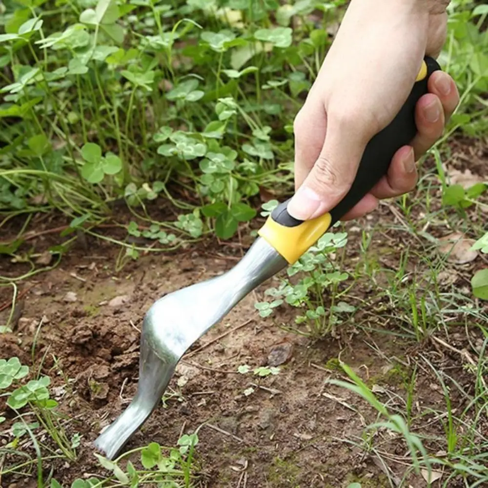 Two-Pronged Fork Hand Weeder Tool with Ergonomic Handle Durable Root Extractor Multi-purpose Sturdy Garden Weeding Fork
Two-Pronged Fork Hand Weeder Tool with Ergonomic Handle Durable Root Extractor Multi-purpose Sturdy Garden Weeding Fork