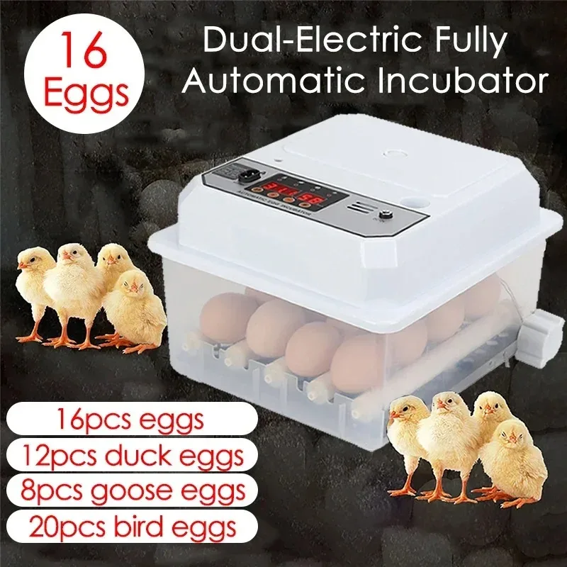 16 Eggs Automatic Egg Incubator with Auto Turning Dual Power Mini Poultry Hatcher for Chicken Duck Goose Birds Household Use
16 Eggs Automatic Egg Incubator with Auto Turning Dual Power Mini Poultry Hatcher for Chicken Duck Goose Birds Household Use