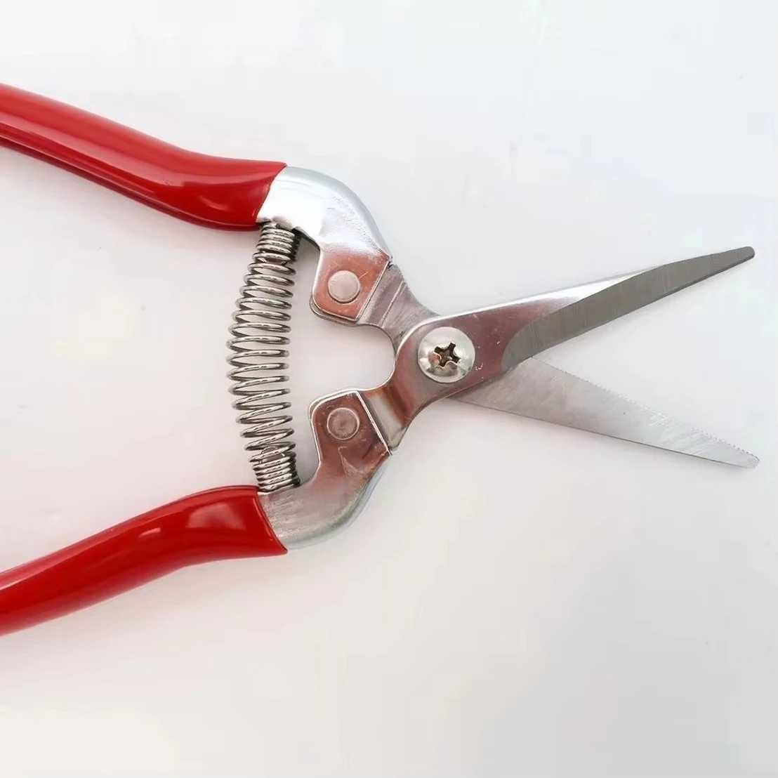 Juicy & Fresh Fruit Picking Scissors
Juicy & Fresh Fruit Picking Scissors