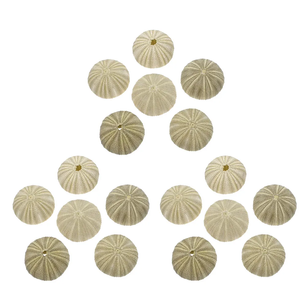 18 шт. натуральных ракушек морского ежа для поделок, наполнители для ваз, украшения для аквариумов, декор для дома
18 шт. натуральных ракушек морского ежа для поделок, наполнители для ваз, украшения для аквариумов, декор для дома