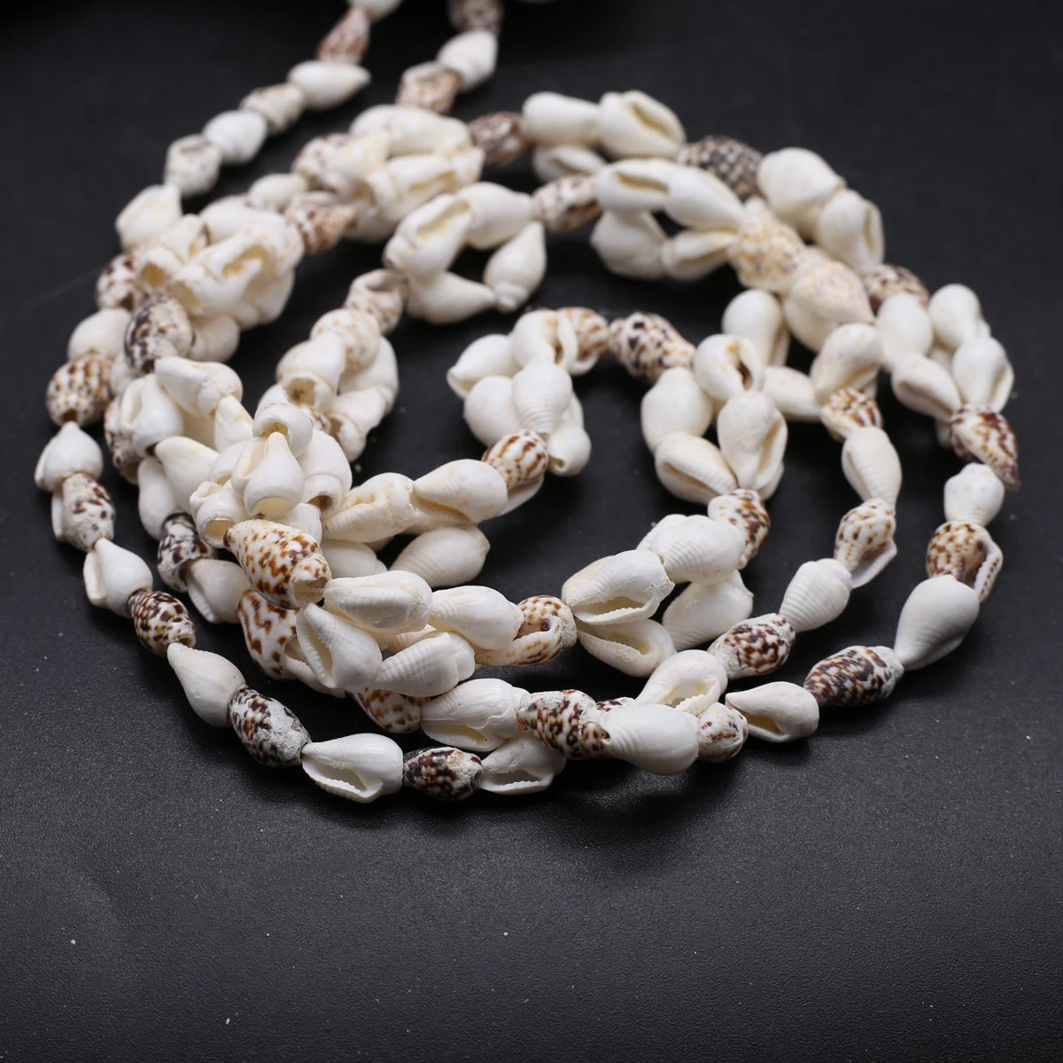 Natural Shell Beads Necklace Small Conch Long Shell Beaded for Jewelry Gift
Natural Shell Beads Necklace Small Conch Long Shell Beaded for Jewelry Gift