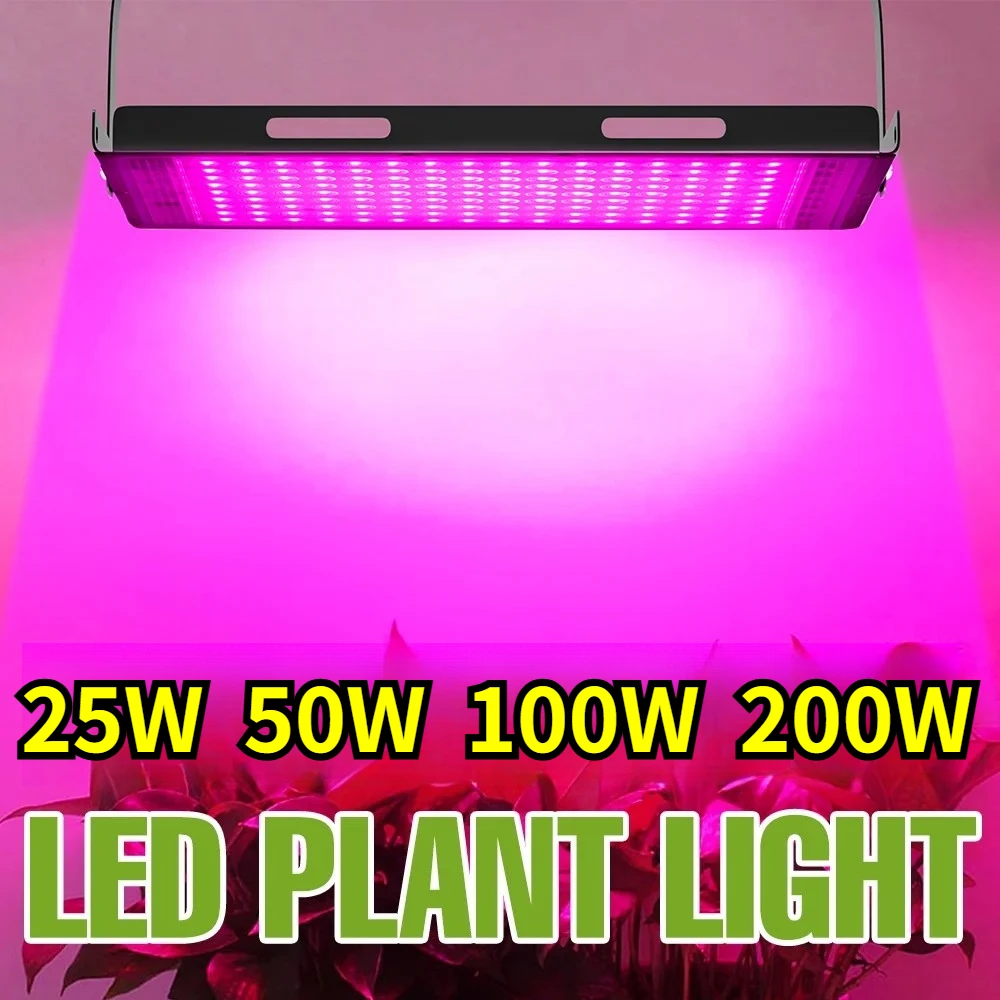 200W Full Spectrum LED Grow Lights Indoor Hydroponic Planting Lamp Greenhouse Tent Flower Seeds Growth Box Cultivation Lighting
200W Full Spectrum LED Grow Lights Indoor Hydroponic Planting Lamp Greenhouse Tent Flower Seeds Growth Box Cultivation Lighting
