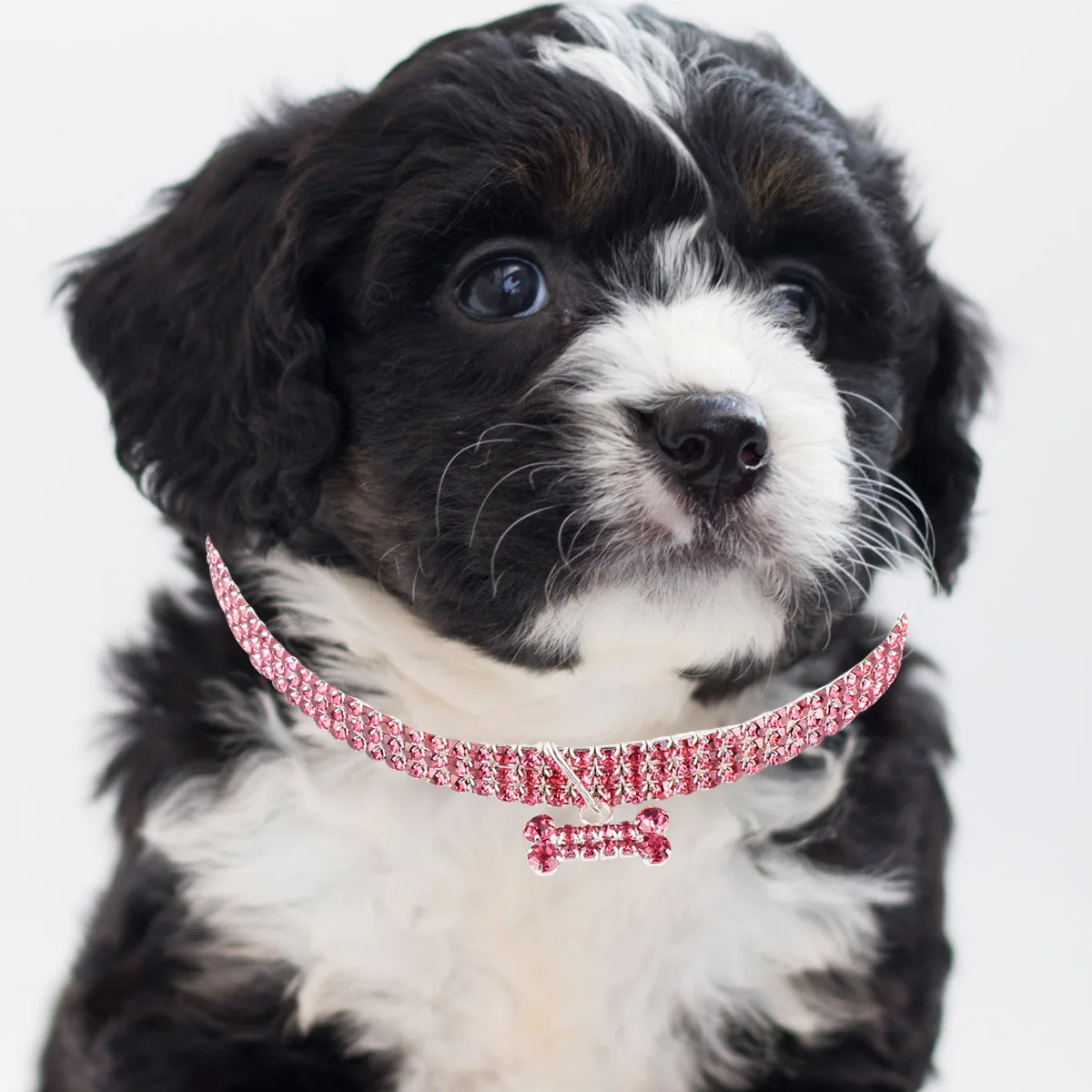 Rhinestone Cat Dog Adjustable White Chain Buckle Crystal Rhinestone Pet Collar Necklace Pet Collar Puppy Supplies
Rhinestone Cat Dog Adjustable White Chain Buckle Crystal Rhinestone Pet Collar Necklace Pet Collar Puppy Supplies