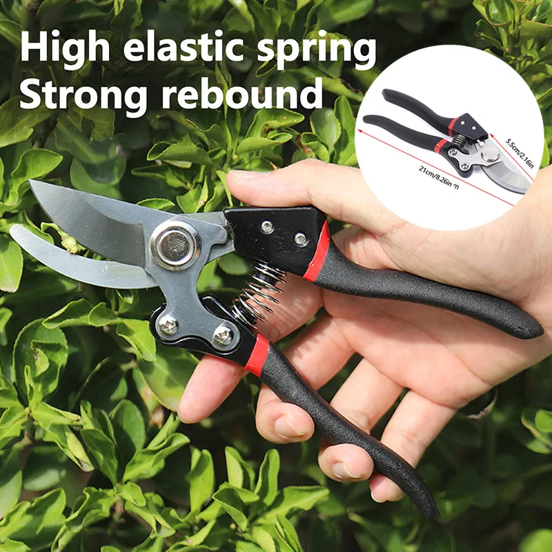 1Pieces Safe/Convenient Garden Scissors Grafting Tool Fruit Tree Pruning Garden Shears Precision Blade Garden Pruning Scissors
1Pieces Safe/Convenient Garden Scissors Grafting Tool Fruit Tree Pruning Garden Shears Precision Blade Garden Pruning Scissors