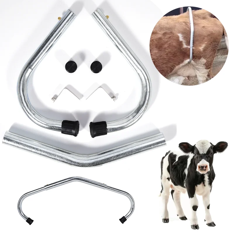 Cattle Stop Kick Bar Strike Stop Bar Bulls Kick Stick Cow Farm Prevent Kicking People Adjustable Tool Husbandry Milking Tools
Cattle Stop Kick Bar Strike Stop Bar Bulls Kick Stick Cow Farm Prevent Kicking People Adjustable Tool Husbandry Milking Tools
