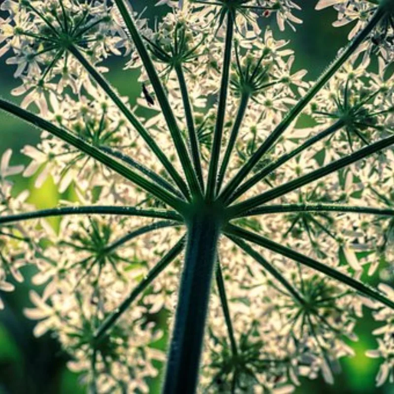 Металлический передний и задний мост с ЧПУ и основанием сервопривода для 1/10 RC Rock Crawler Car Axial SCX10 RC4WD D90, обновленные детали 
Металлический передний и задний мост с ЧПУ и основанием сервопривода для 1/10 RC Rock Crawler Car Axial SCX10 RC4WD D90, обновленные детали