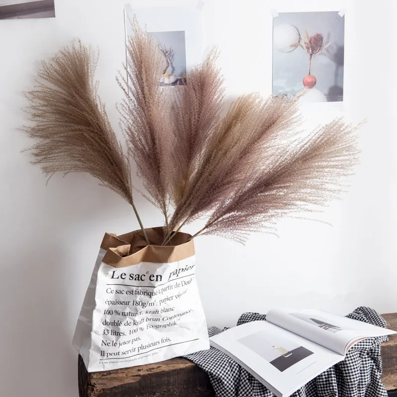 10pcs Pampas Grass Autumn Decoration Accessories Mariage Dried Flowers Decorative Items For Home Cheap Items With Free Shipping
10pcs Pampas Grass Autumn Decoration Accessories Mariage Dried Flowers Decorative Items For Home Cheap Items With Free Shipping