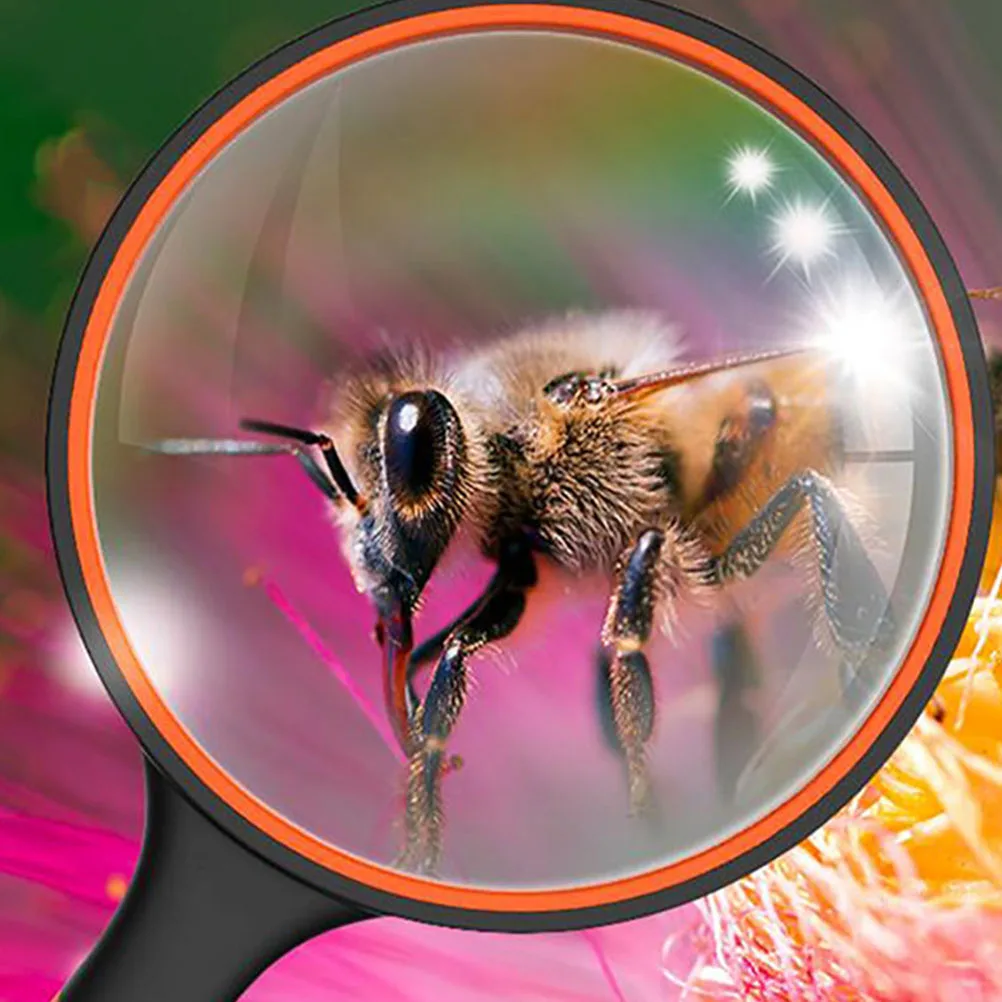 2Pcs 10x Handheld Magnifying Glass Practical Reading Tool for Small Things Insect Observation Handheld Magnifying Glass
2Pcs 10x Handheld Magnifying Glass Practical Reading Tool for Small Things Insect Observation Handheld Magnifying Glass