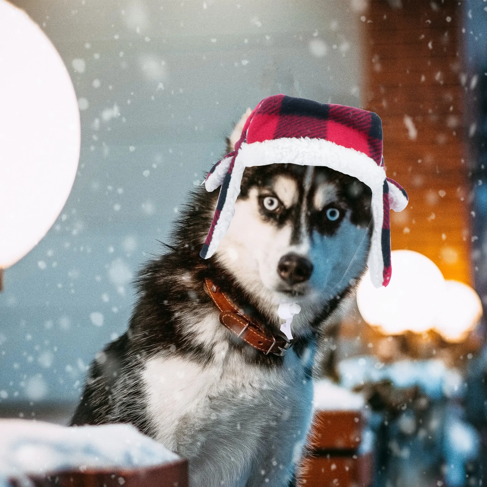 1Pcs Pet Beret Winter Warm Hat Adjustable Large Breed Dog Hat Casual Cap for Pets Outdoor Decoration Pet Beret
1Pcs Pet Beret Winter Warm Hat Adjustable Large Breed Dog Hat Casual Cap for Pets Outdoor Decoration Pet Beret