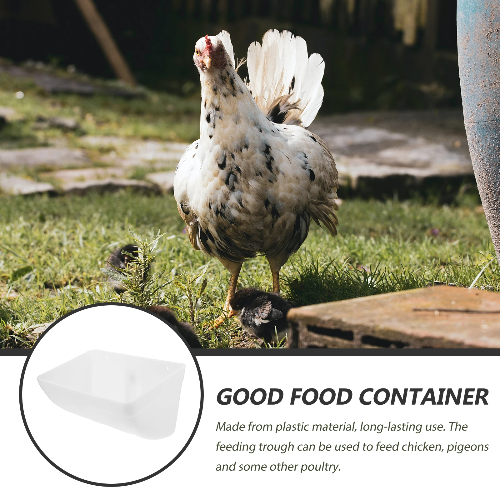 Automatic Chicken Feeder Plastic Poultry Feeders Large Capacity Lightweight Washable Hanging Design Chickens Ducks Parakeets 
Automatic Chicken Feeder Plastic Poultry Feeders Large Capacity Lightweight Washable Hanging Design Chickens Ducks Parakeets