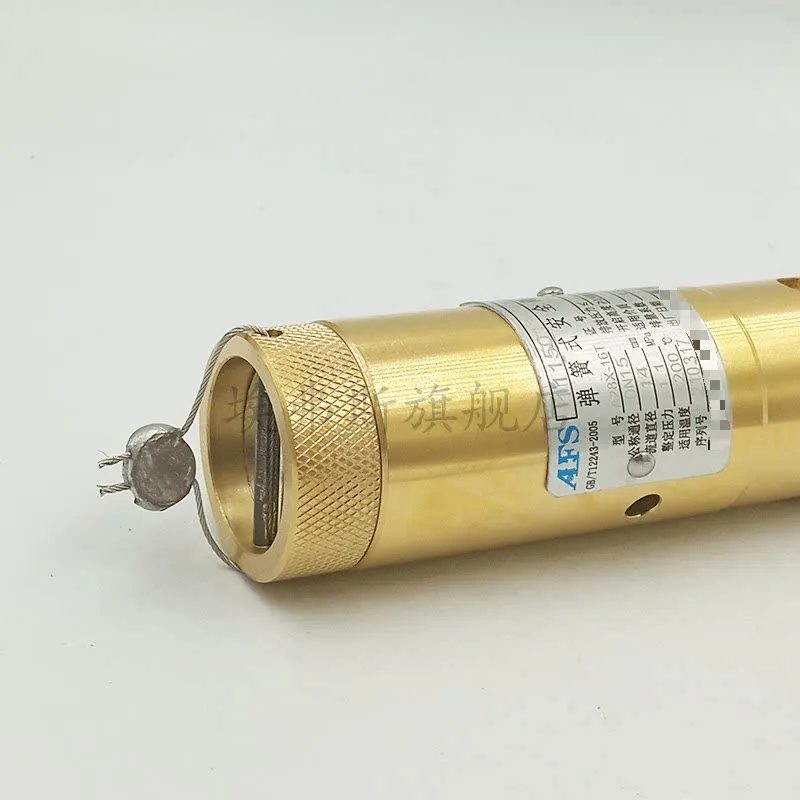 Evers safety valve spring type A28X-16T air compressor DN1520 pull ring straight safety valve
Evers safety valve spring type A28X-16T air compressor DN1520 pull ring straight safety valve