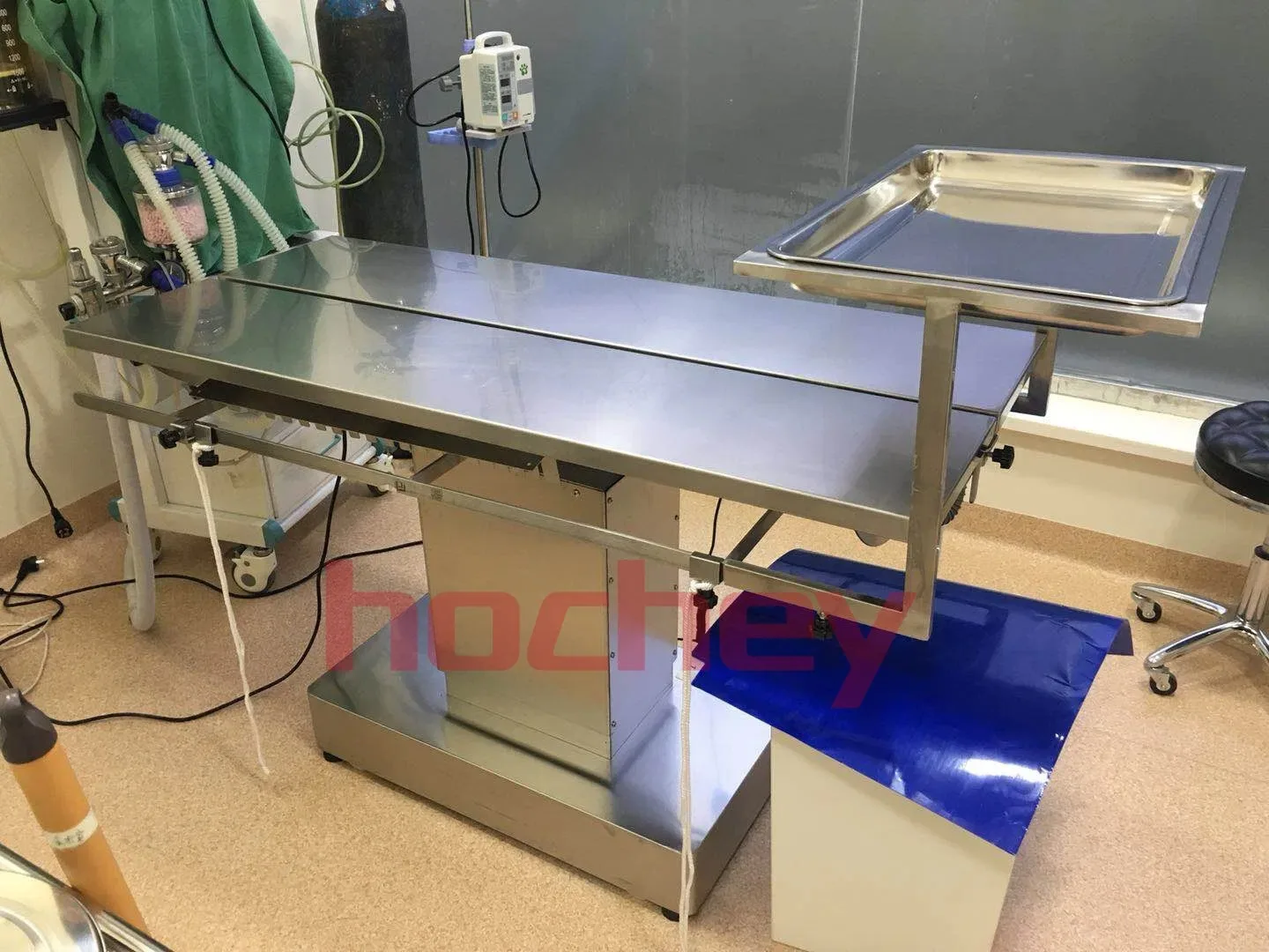 Stainless Steel Vet Electric Surgery Animal Veterinary Surgical Table-Manual Control
Stainless Steel Vet Electric Surgery Animal Veterinary Surgical Table-Manual Control