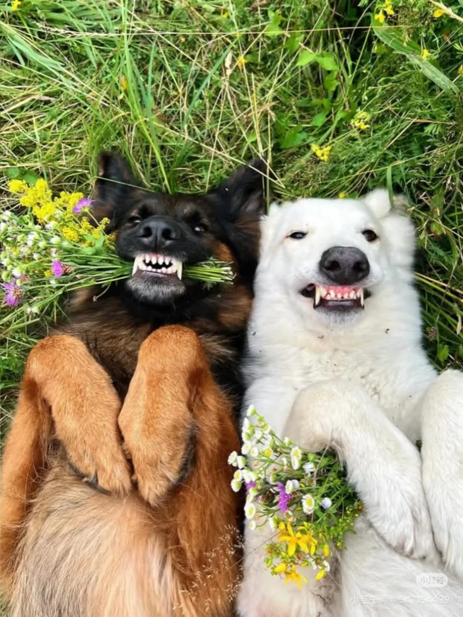 NEW 15T 6500W EMS Body Sculpt Weight Lose EMS 5 RF HandleMuscle Stimulate Body Slimming Sculpting Fat Reduction Machine
NEW 15T 6500W EMS Body Sculpt Weight Lose EMS 5 RF HandleMuscle Stimulate Body Slimming Sculpting Fat Reduction Machine